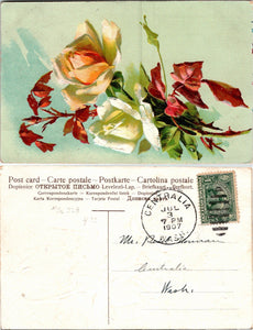 1907 Postcard from Centralia WA Flower card EMBOSSED sent to Centralia $