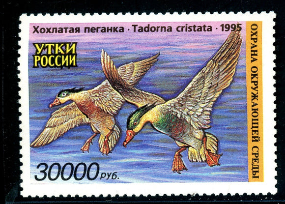 Russia OS #1205 MNH Ducks 1995 Birds FAUNA $$ 381016