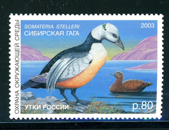 Russia OS #1213 MNH Ducks 2003 Birds FAUNA $$ 381024