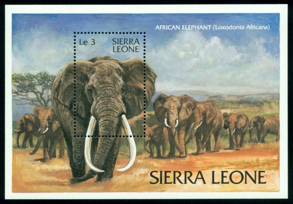 Sierra Leone Scott #590 MNH S/S African Elephant FAUNA CV$6+ 384396