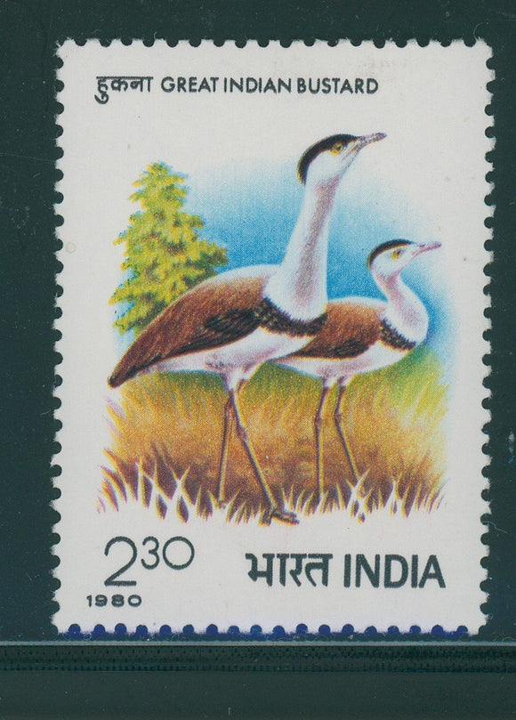 India Scott #879 MNH Bustard Birds CV$3+ 406870