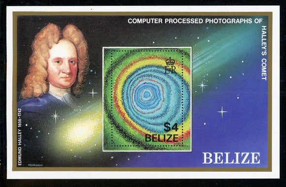 Belize Scott #814 MNH S/S Halley's Comet SPACE CV$8+