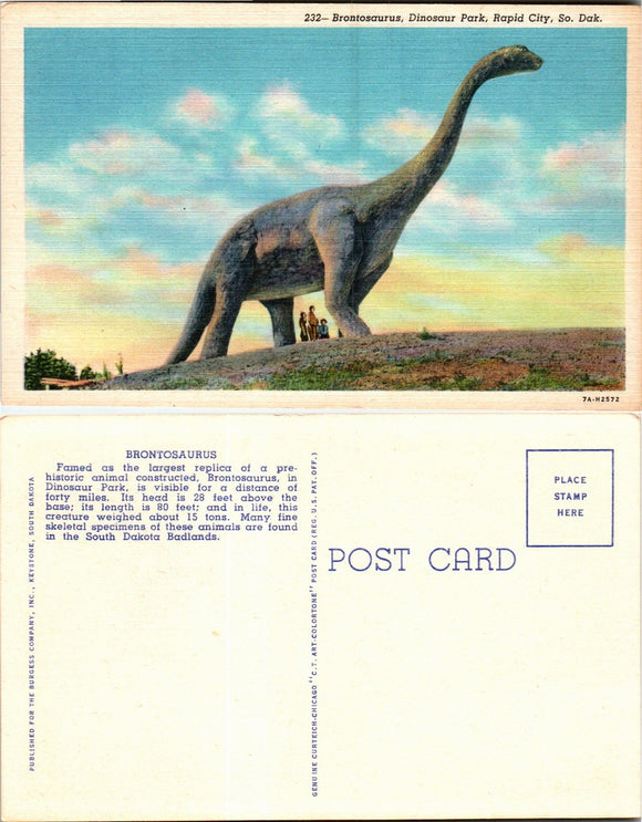 Postcard Dinosaur Park SD, unaddressed $$ 383411 ISH