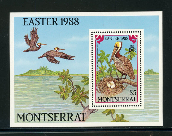 Montserrat Scott #676 MNH S/S Marine Birds FAUNA $$ 439414