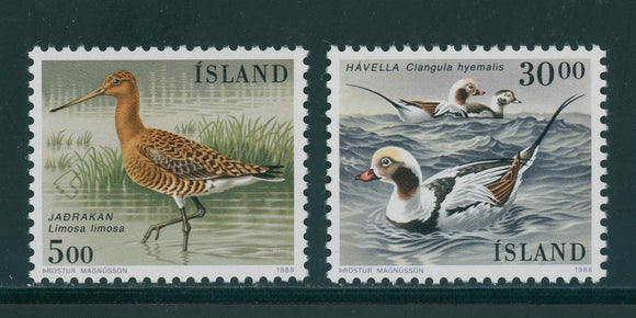 Iceland Scott #665-666 MNH Birds FAUNA $$ 439437