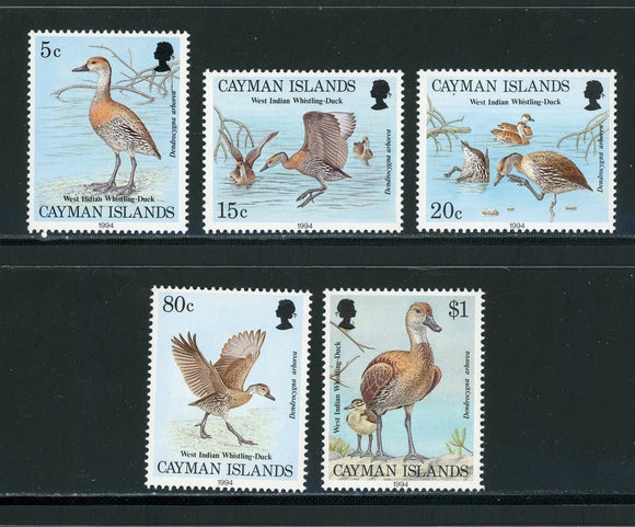 Cayman Islands Scott #681-685 MNH Birds FAUNA CV$18+ 439558