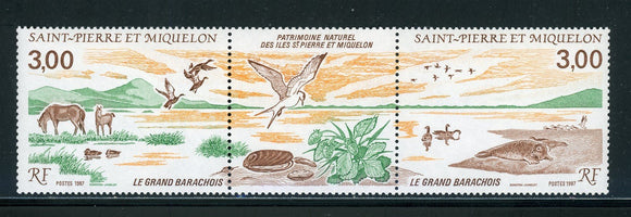 St. Pierre & Miquelon Scott #505a MNH BLOCK Birds FAUNA CV$4+ 439586