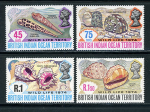 BIOT Scott #59-62 MNH Sea Shells FAUNA CV$11+ 441777