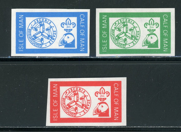 Isle of Man OS #34 MNH Scouting Locals $$ 452411