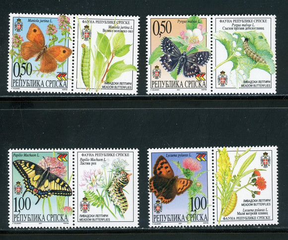 Bosnia (Serb Admin) Scott #138-141 MNH w/LABELS Butterflies Insects $$ 457942