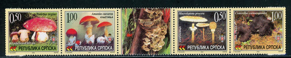 Bosnia (Serb Admin) Scott #186 MNH STRIP of 4 Mushrooms and LABEL $$ 457946