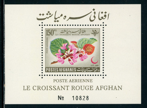 Afghanistan note after Scott #C28 MNH S/S Afghan Red Crescent CV$5+ TH-1