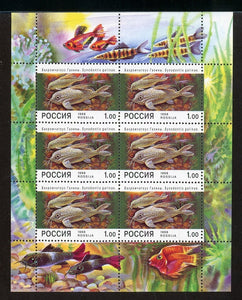 Russia Scott #6443a MNH SHEET of 6 Aquarium Fish FAUNA CV$25+ ISH-1