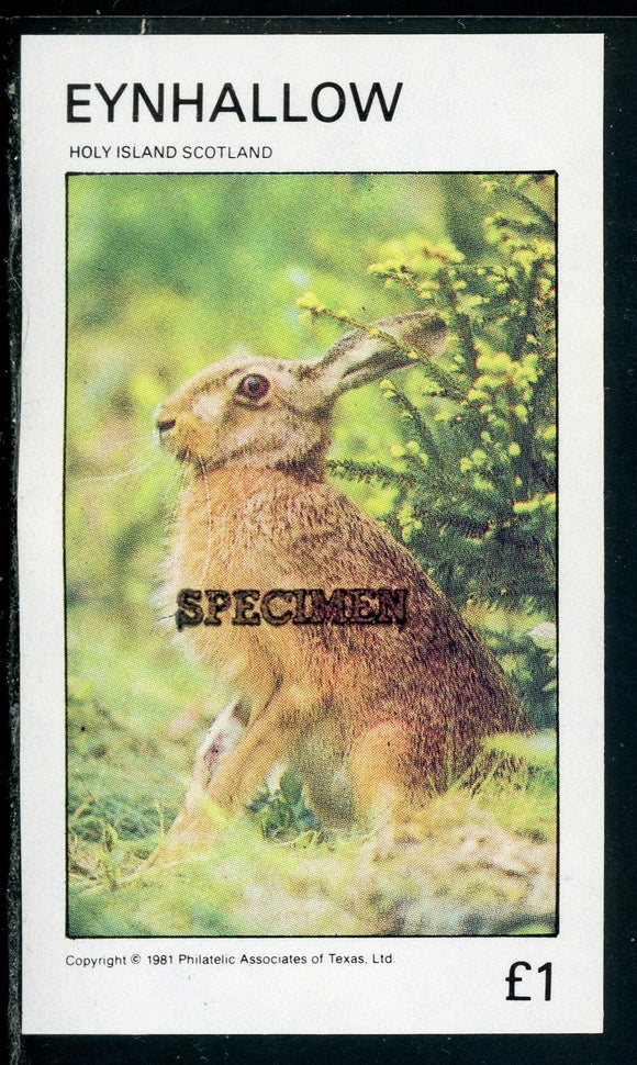 Scotland OS #9 MNH SPECIMEN Holy Island Hare 1£ Fauna $$ TH-1