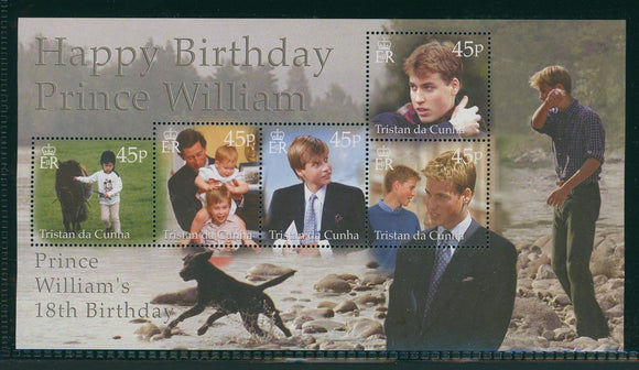 Tristan da Cunha Scott #668 MNH SHEET Prince William 18th Birthday CV$12+