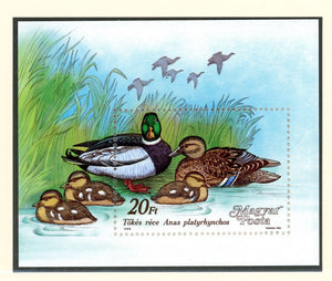 Hungary Scott #3141 MNH S/S Ducks Birds FAUNA CV$4+