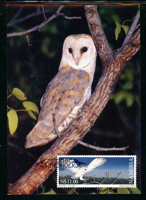 Namibia Scott #950 POSTCARD Owls of Namibia $11 FAUNA $$