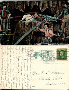 1912 Postcard from Seattle of Logging sent to Wisconsin $