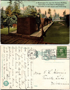 1912 Postcard from Seattle of Logging sent to Wisconsin $