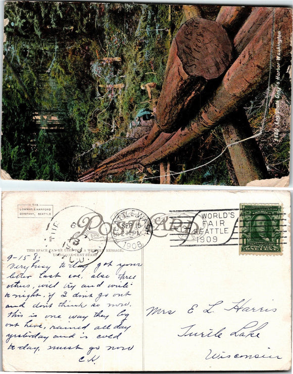 1908 Postcard from Gray's Harbor Logging sent to Wisconsin $