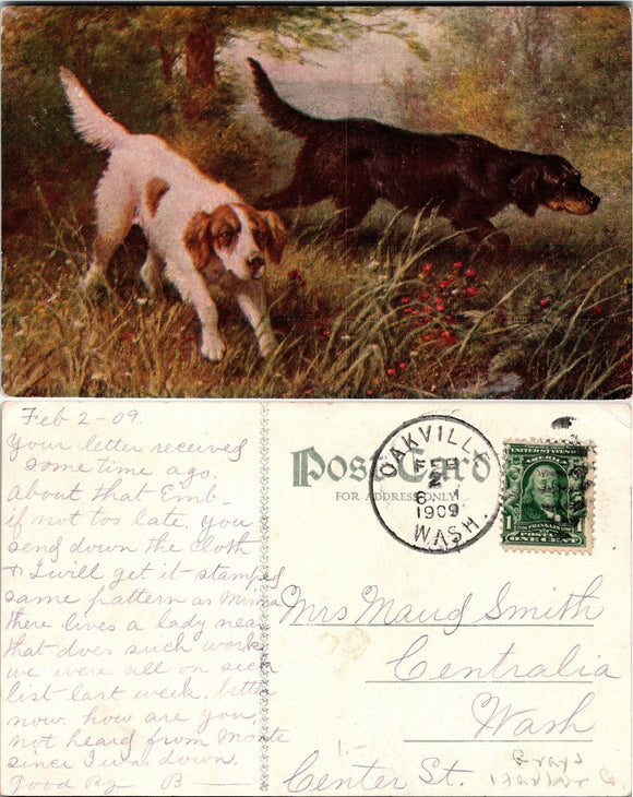 1909 Postcard from Oakville WA Dogs sent to Centralia WA $
