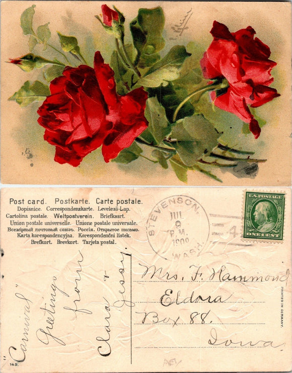 1909 Postcard from Stevenson WA Roses EMBOSSED sent to Eldora IA $