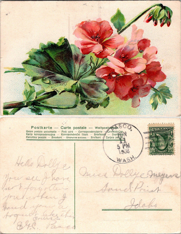 1908 Postcard from Pasco WA Flowers sent to Sands Priest ID $