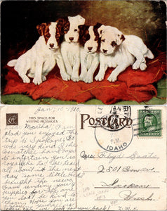 191X Postcard from Lenia ID of Pet Dogs sent to Spokane, WA DPO $$$