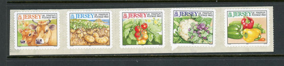 Jersey Scott #981h SA STRIP Agricultural Products 2005 CV$8+