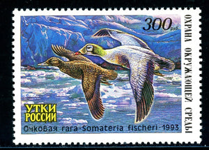 Russia OS #1203 MNH Ducks 1993 Birds FAUNA $$ 381014