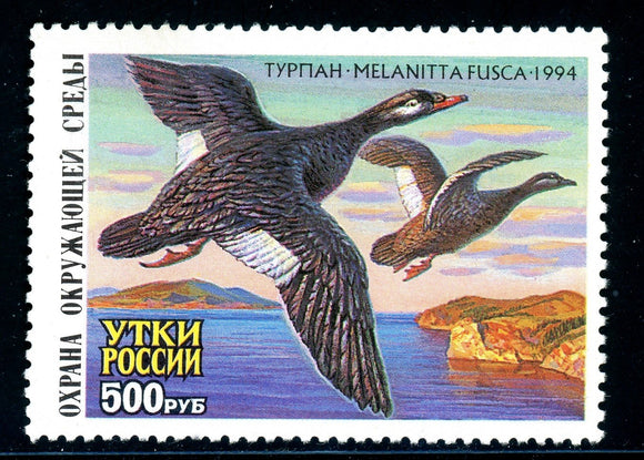 Russia OS #1204 MNH Ducks 1994 Birds FAUNA $$ 381015