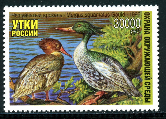 Russia OS #1206 MNH Ducks 1996 Birds FAUNA $$ 381017