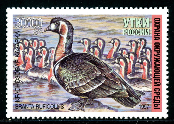 Russia OS #1207 MNH Ducks 1997 Birds FAUNA $$ 381018