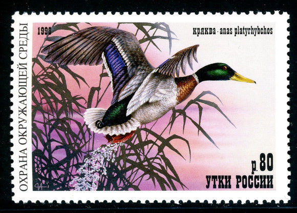 Russia OS #1208 MNH Ducks 1998 Birds FAUNA $$ 381019