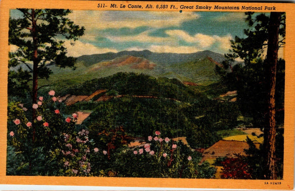 Postcard Mt. Le Conte Great Smokeys National Park, unaddressed $$ 383300 ISH