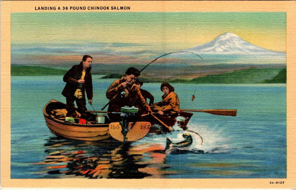 Postcard Landing a Chinook Salmon, unaddressed $$ 383311 ISH