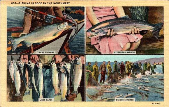 Postcard Fishing in the Northwest FISHING, unaddressed $$ 383312 ISH