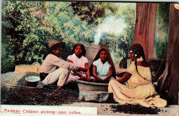 Postcard Mexico, Children Picking Coffee, unaddressed $$ 383333 ISH