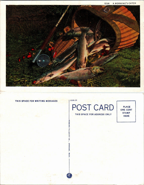 Postcard Morning Catch FISHING, unaddressed $$ 383375 ISH