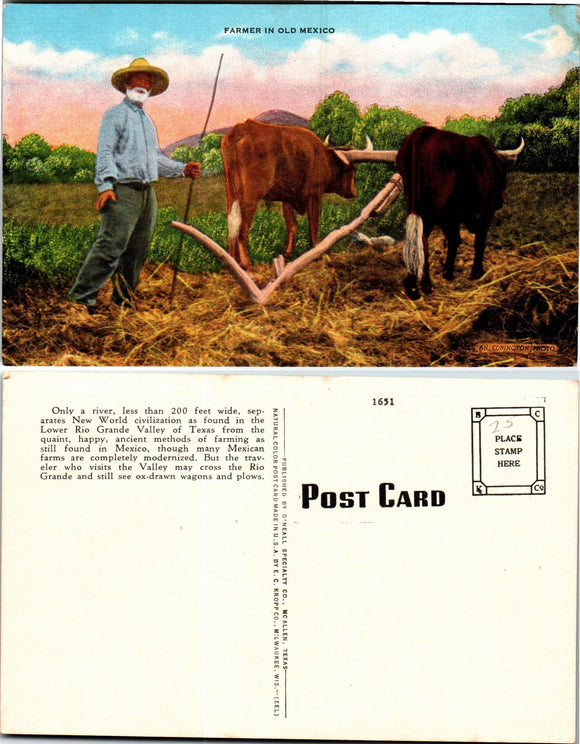 Postcard Farmers in Old Mexico, unaddressed $$ 383393 ISH