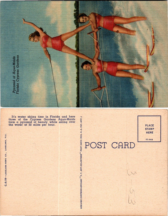 Postcard Cypress Gardens FL, unaddressed $$ 383401 ISH