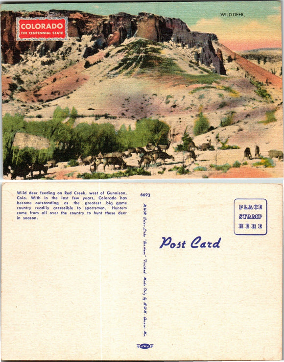 Postcard Wild Deer Gunnison CO, unaddressed $$ 383417 ISH
