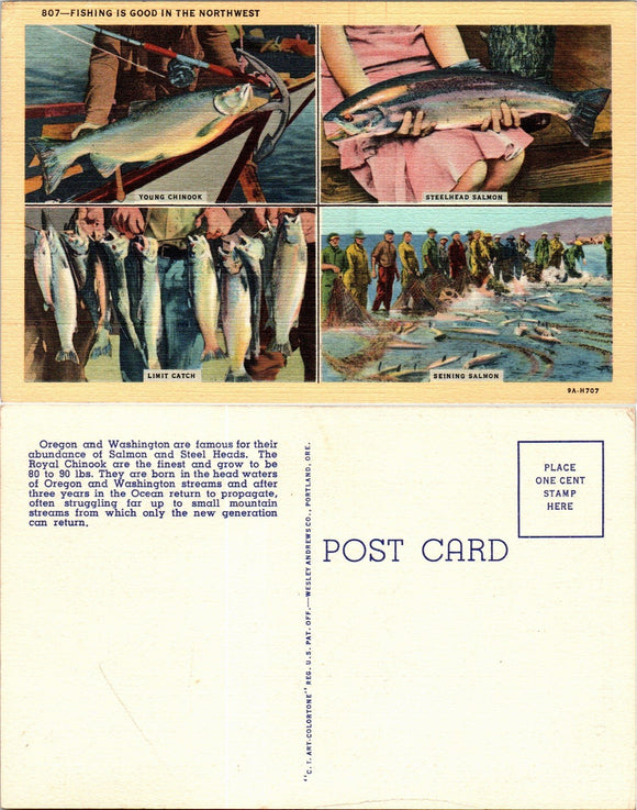 Postcard Fishing in the Northwest, unaddressed $$ 383421 ISH
