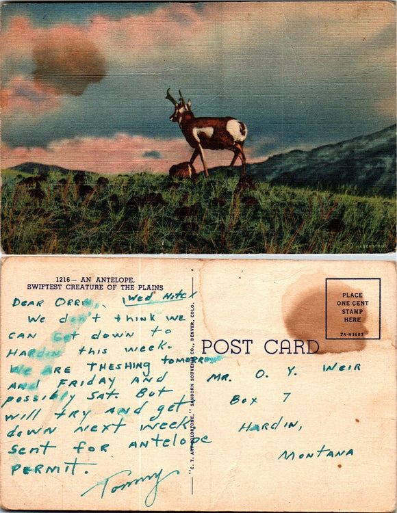 Postcard Antelope to Hardin MT $$ 383496 ISH