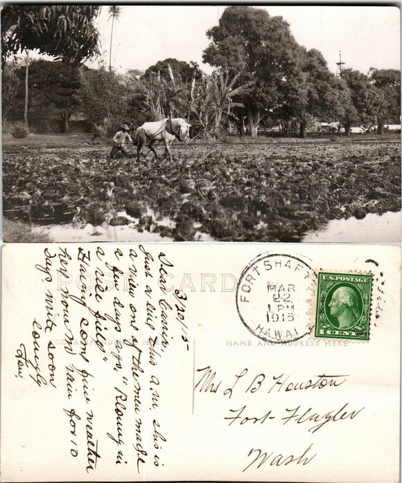 Postcard DPO 2 RP 1915 Ft. Shafter Farming Scene to Ft. Flagler $$ 383546 ISH