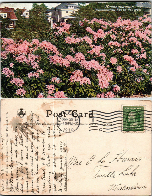 Postcard 1910 Seattle WA Rhododendrons to Turtle Lake WI $$ 383595 ISH