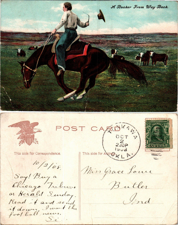 Postcard 1908 Tonkawa OK Bucking Horse to Butler IN $$ 383641 ISH