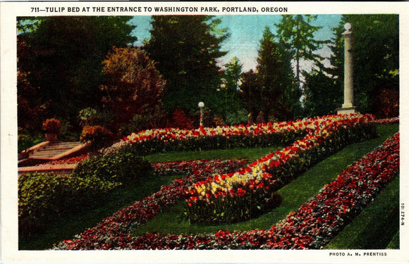 Postcard Washington Park Tulips Portland unaddressed $$ 383913 ISH