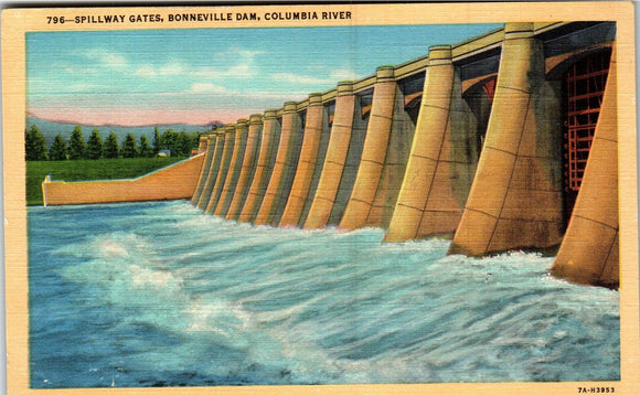 Postcard Bonneville Dam Scene Columbia R. OR unaddressed $$ 383921 ISH