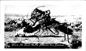 Postcard VINTAGE "Hopper and Saddle" unaddressed $$ 383949 ISH